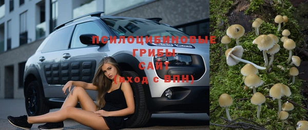 твердый Липки